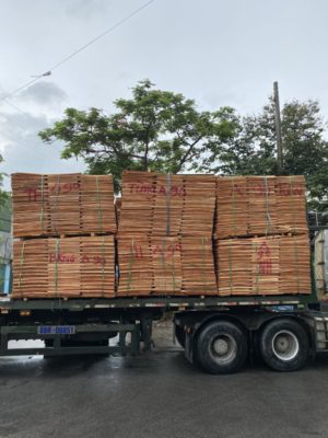 Gỗ dán - Thiện Linh Plywood - Công Ty TNHH Thiện Linh Plywood